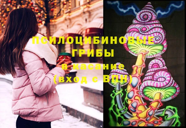 молекула духа Алексеевка