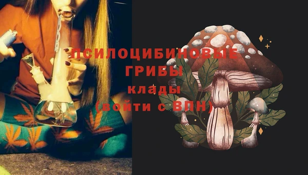 молекула духа Алексеевка