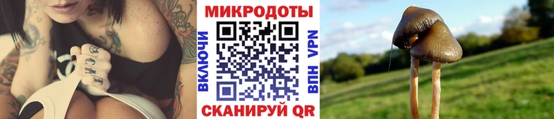 Галлюциногенные грибы мухоморы ОМГ ОМГ сайт Певек