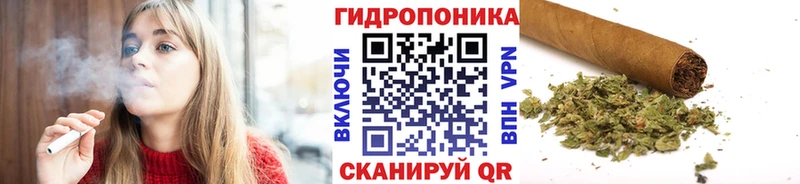 как найти Певек Марихуана White Widow